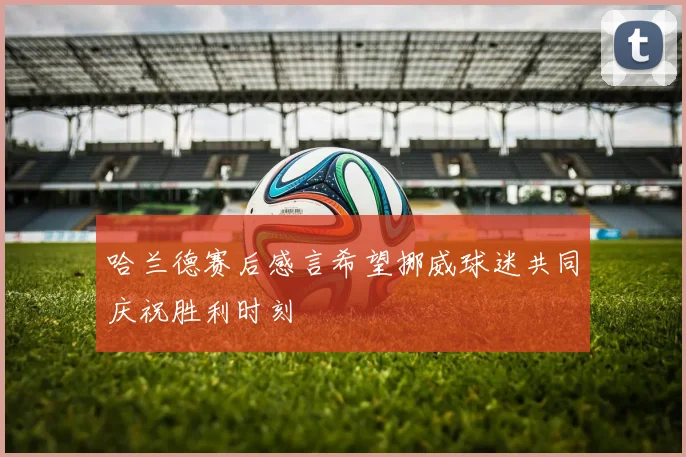 哈兰德赛后感言希望挪威球迷共同庆祝胜利时刻